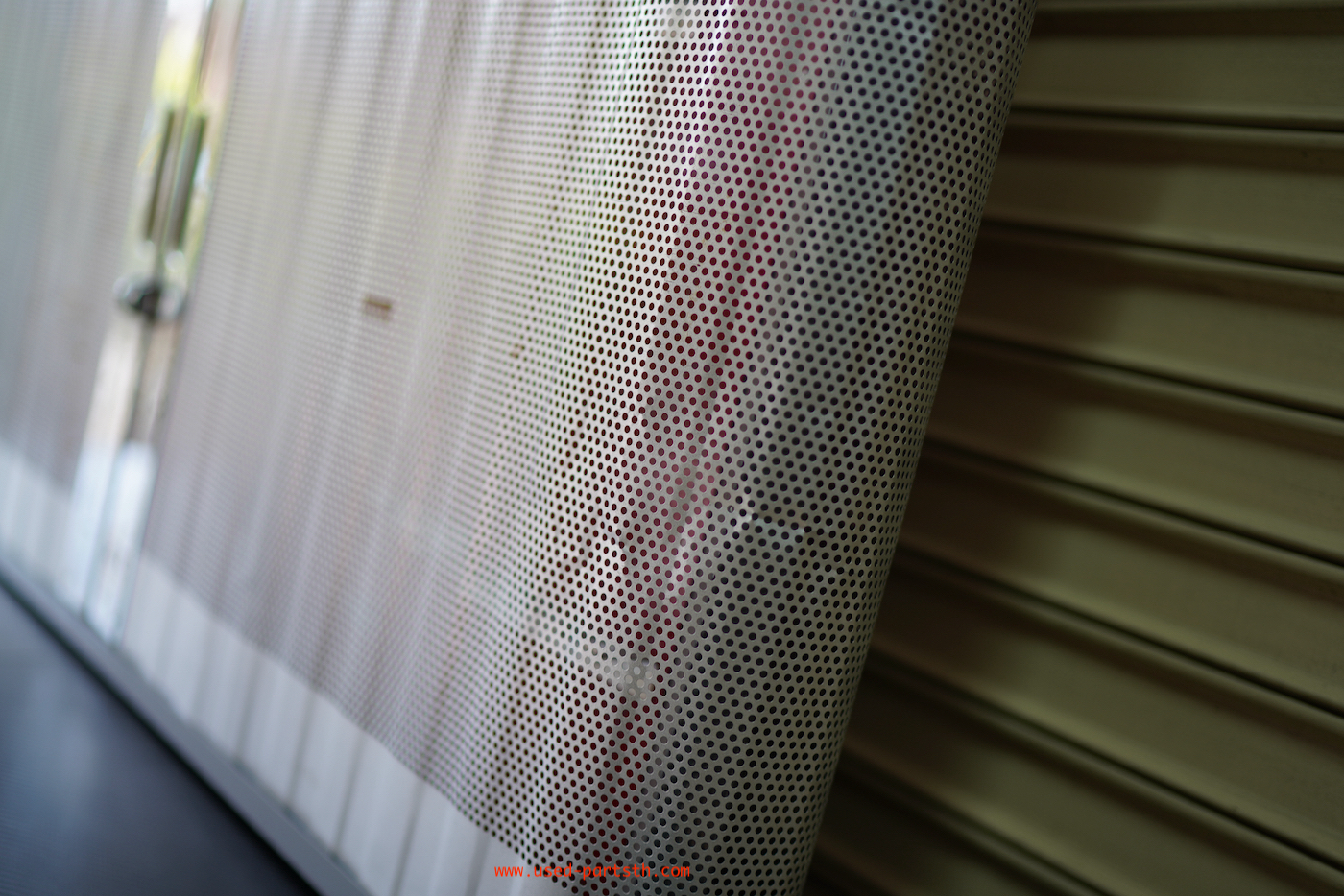 DSC03018.jpeg